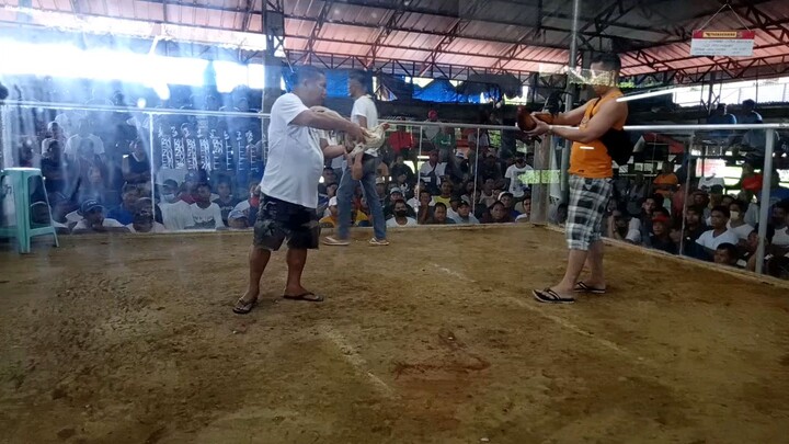 dalawasapi wins