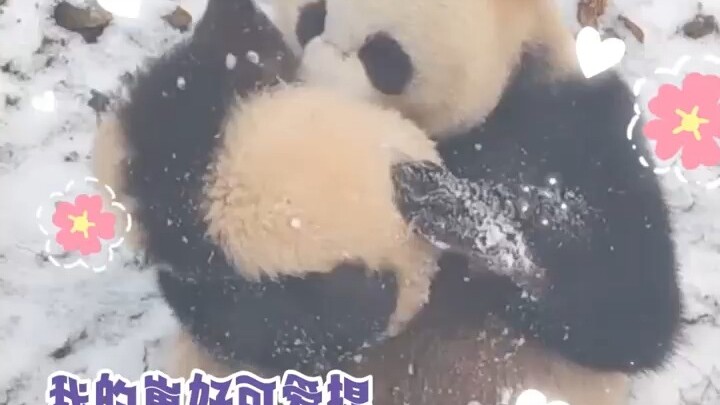 The other party urgently withdrew a piece of maternal love and added a kick