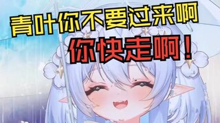 青叶天下第一