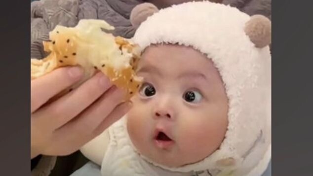 Dalam tatapan yang jernih itu, hanya ada rasa haus akan makanan