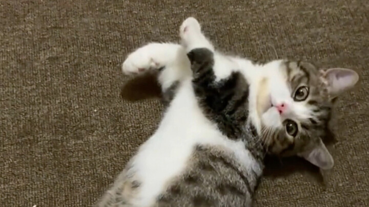 Vừa bước vào cửa, đã bị nó làm tan chảy rồi!