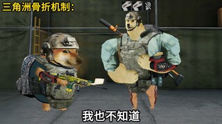 三角洲骨折机制