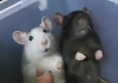 What's with that expression?