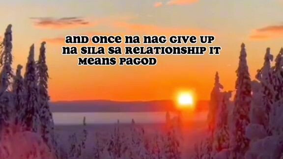 fact