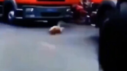 เจ้าของบ้านเกิดไฟไหม้ เพื่อช่วยหมา...