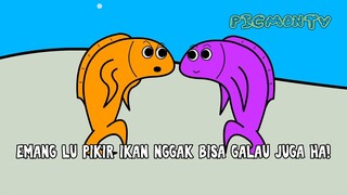 Ikan Cari Jodoh