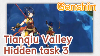 Tianqiu Valley Hidden task 3