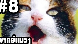 พากย์แมวๆ เดอะ ซีรี่ย์ - Season 1 Ep8「นายหัวฟ้า」ตลกฮาเกรียน