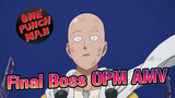 One Punch Man and the Final Boss
