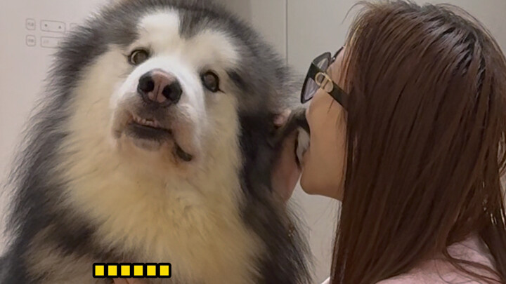 当妈妈咬了一口小狗时