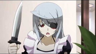 Infinite Stratos OVA - Cooking Supplies