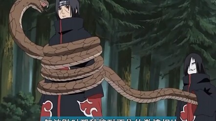 Why did Orochimaru look down on Kakashi's Sharingan? He even said it was too ordinary?