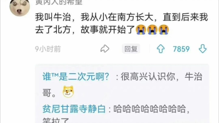 Rất vui được làm quen với bạn, Ngưu Trị!