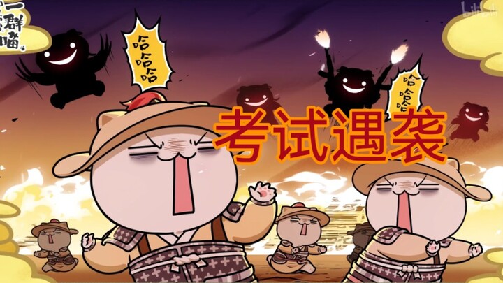 《喵间真实》期中考的我！！
