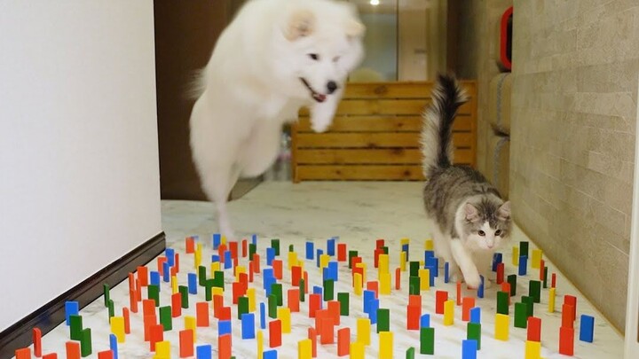 I tried the recently popular obstacle avoidance game.