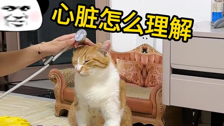 My dog, I’m learning about the heart and the pill button every single day~