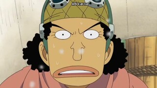 One Piece Funny Moments - Kebodohan Kru Mugiwara