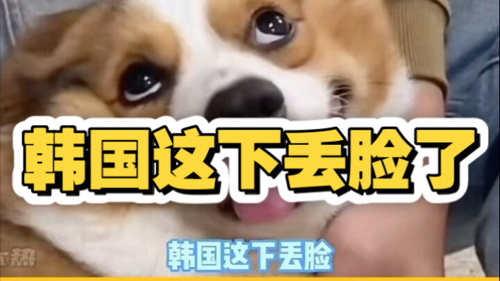 You’re just letting them steal—this is embarrassing enough to make it to the United Nations!