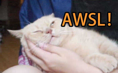 ماذا يحدث إذا سمحت لقطتك المنزلية بشم قدميك؟