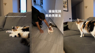 Orang yang paling dicintai oleh kucing-kucingku akhirnya kembali 💗🤣