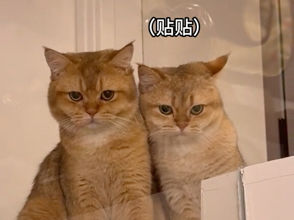 Anh trai: Em trai ơi, em thơm quá!