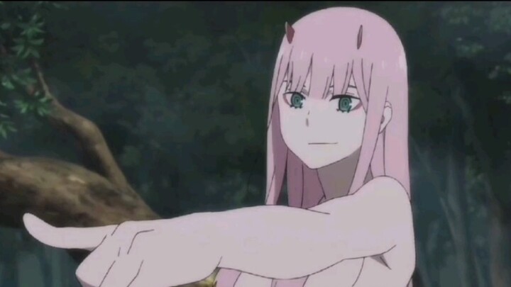 [Anime][Zero Two]I Know, You're A Pervert!