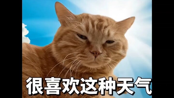 Setelah istri beli kartu gym, bulunya pun ilang!