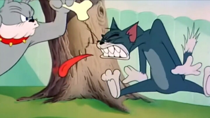 Tom's Pork Liver Showdown