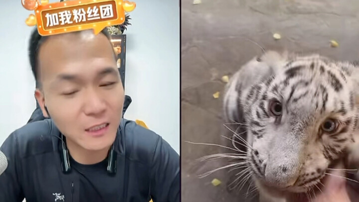 เจ้านี่ฝึกไม่ได้