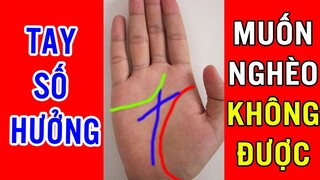 3 Đường Chỉ Tay Không Bao Giờ Nghèo Được, Tiền Bạc Vứt Đi Lại Kéo Về Xếp Thành Núi