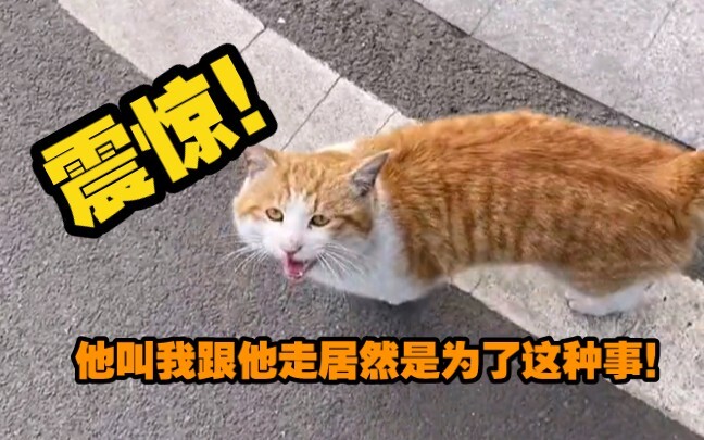 مذهل! اتضح أن دعوته لي للرحيل معه كانت من أجل هذا الأمر فقط!