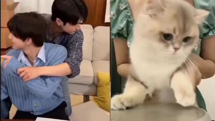 grabe ka naman jay but ginawa mo namang pusa si jungwon hehe 😅