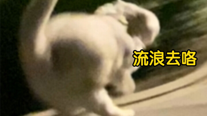 What an unforgettable Children’s Day!