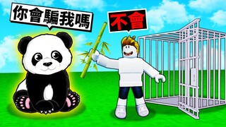 我能捕捉到最稀有的熊貓嗎？！🐼【Roblox 機械方塊】