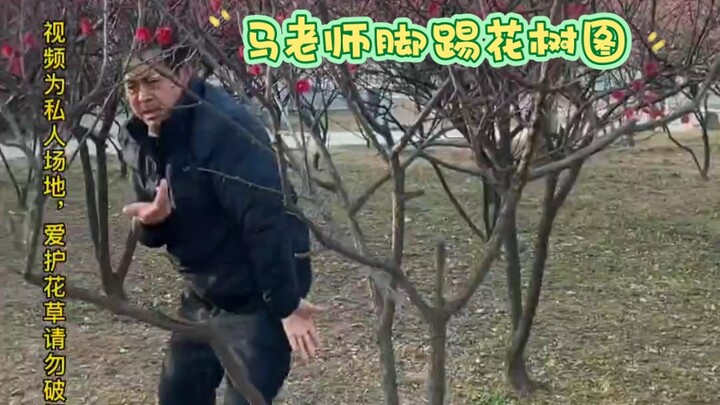 Ma Baoguo has started sparring with plants—at least he won’t get knocked out.