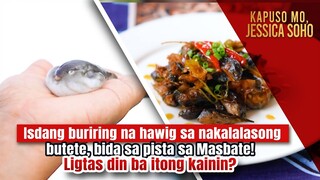 Isdang buriring na hawig sa nakalalasong butete, bida sa pista sa Masbate! | Kapuso Mo, Jessica Soho