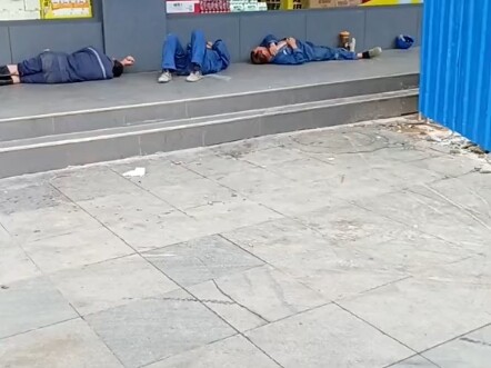 Bốn năm đại học cày đến kiệt sức, cuối cùng chỉ đổi được tấm bằng để vào nhà máy làm công nhân? “Tri