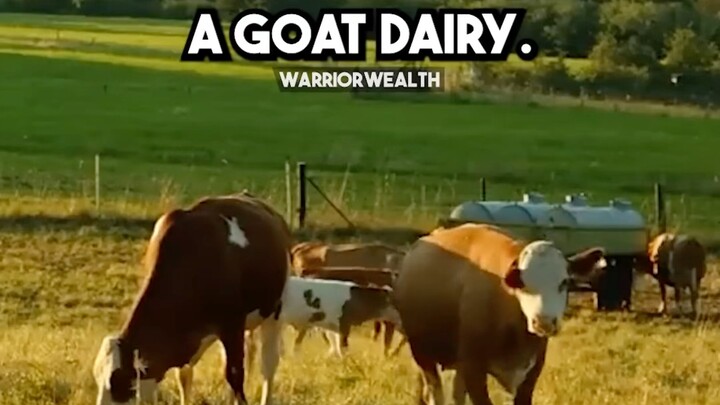 Farmers Use Facts to Shatter Vegan Myths