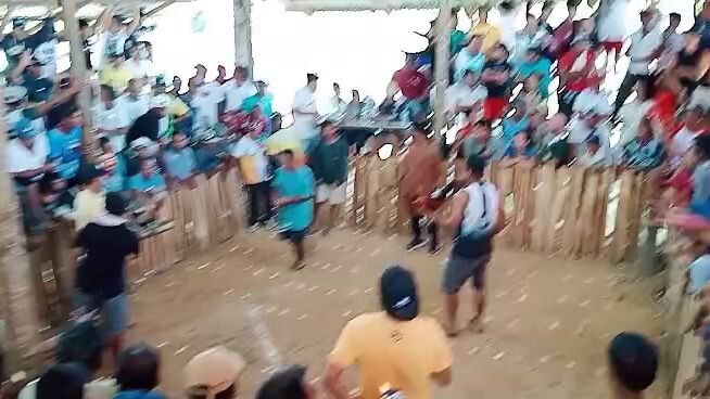 raptor sweater hma lines