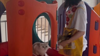 أنا أكره التعامل مع الناس.