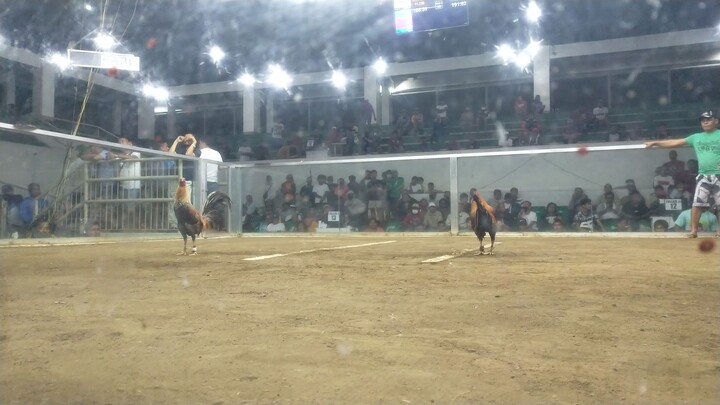 2 hits Champion Using Allen Round Head and Sweater Dome. 2nd fight