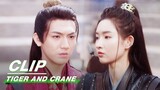 Zhao Xintong Refuses to Team up with Cheng Jinian | Tiger and Crane EP12 | 虎鹤妖师录 | iQIYI