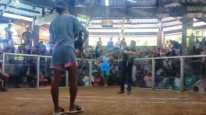 CANON BACKYARD/ 1x WINNER WINE RED/ MAY 18, 2025 @ Gumaca Sports Arena