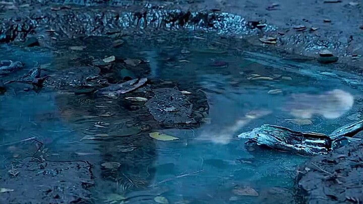 Jurassic Park