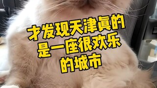 What I wanted to say was that not all of us in Tianjin can perform crosstalk, but in the end I thoug