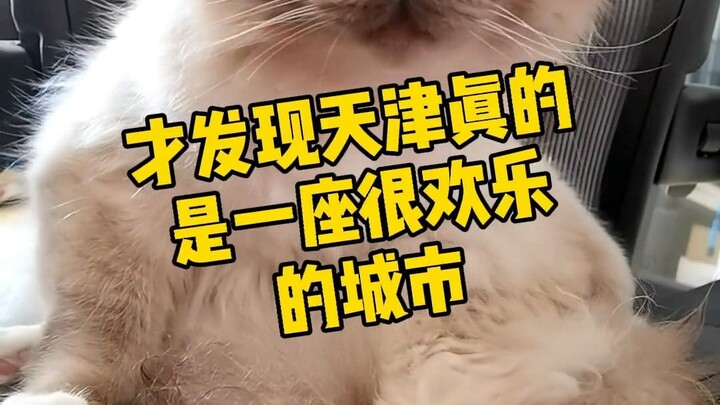 What I wanted to say was that not all of us in Tianjin can perform crosstalk, but in the end I thoug