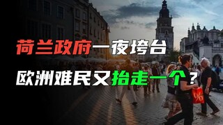 انهارت الحكومة الهولندية بين عشية وضحاها. ما الذي جعل الهولنديين غير قادرين على تحمل الأمر؟