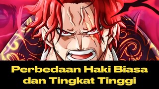 Haki Level Tinggi Jauh Lebih Berbahaya dari Buah Iblis?? | Penjelasan 3 Jenis Haki di Onepiece!