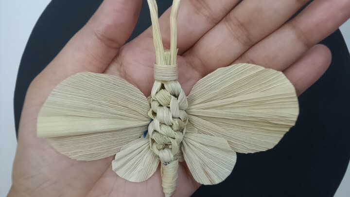 I Made a Butterfly Out of Corn Husks — Here's How