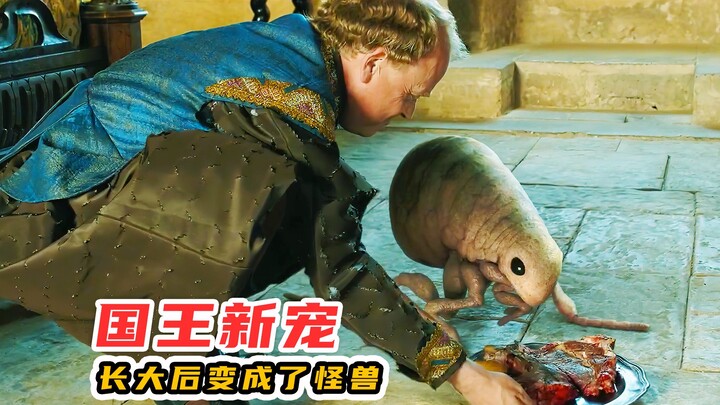 ربّى الملك برغوثًا كحيوان أليف، بل ويُطعمه من دمه الخاص!